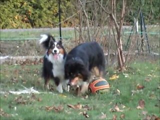 Darkouille la Fripouille