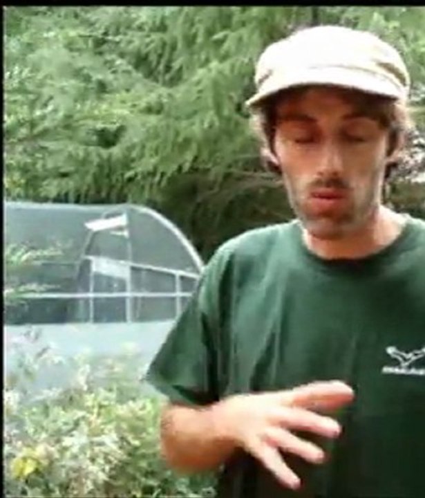 Entrevue avec Stephan d'Hegalaldia.