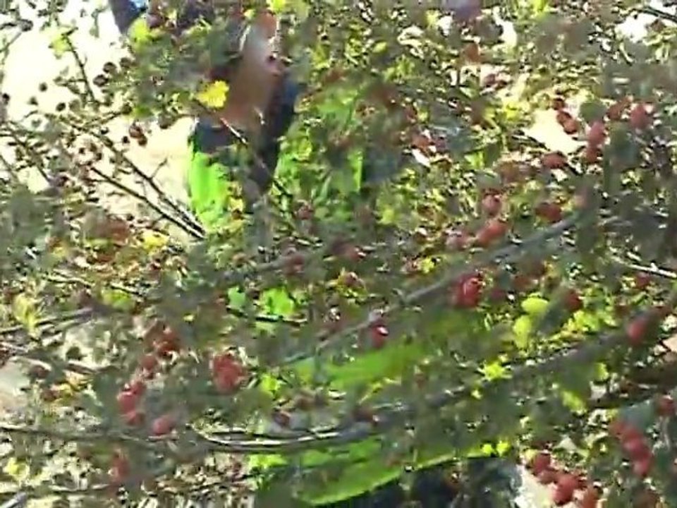 Полицаят и мутрата