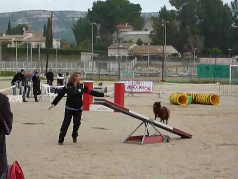 Domino - Open La Bouilladisse 12.11.11