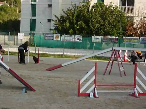 Domino - GPF La Bouilladisse 12.11.11