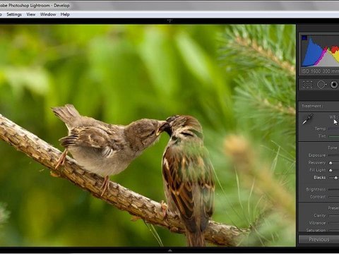 Урок 022 полного русского курса по Lightroom 2