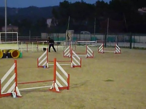 Domino - Jumping La Bouilladisse 12.11.11