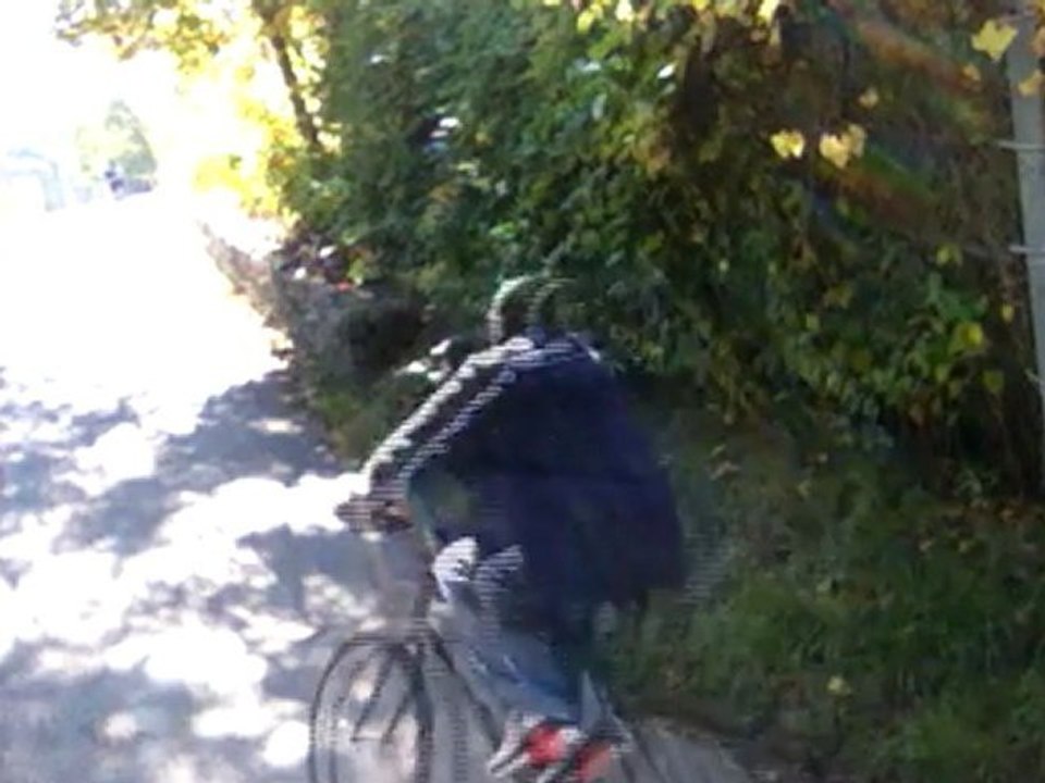 Cycle Ward