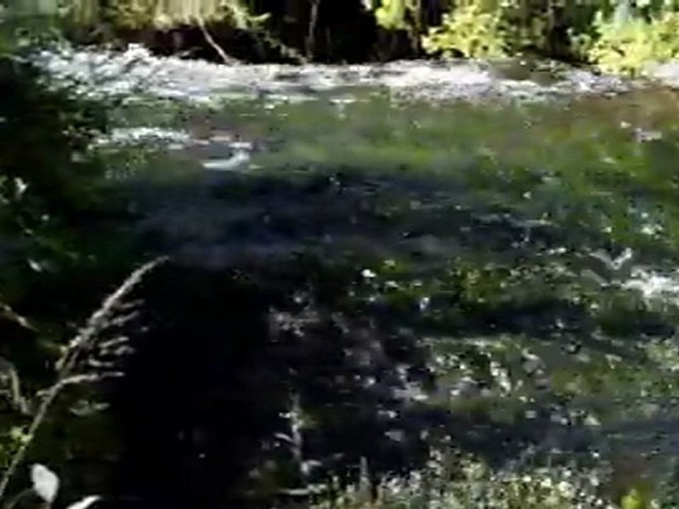 Sivas Hafik Dündar Köyü.  www.koyunuzeev.com