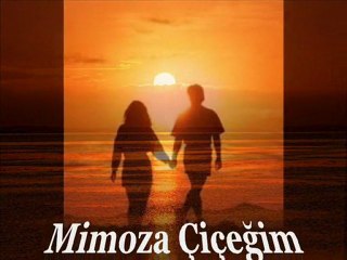 ''Bozcaada-Hotel Fahri'' Mimazo Çiçeğim (Türkçe, Yunanca)