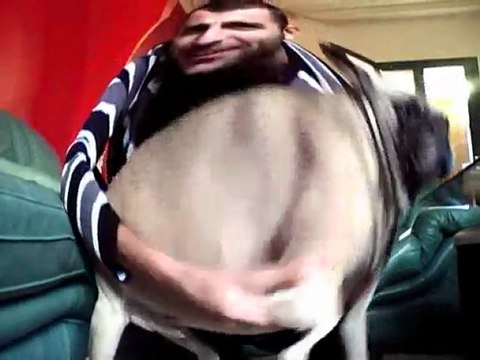 johny halliday peutch et chivas toute la musique que j aime!