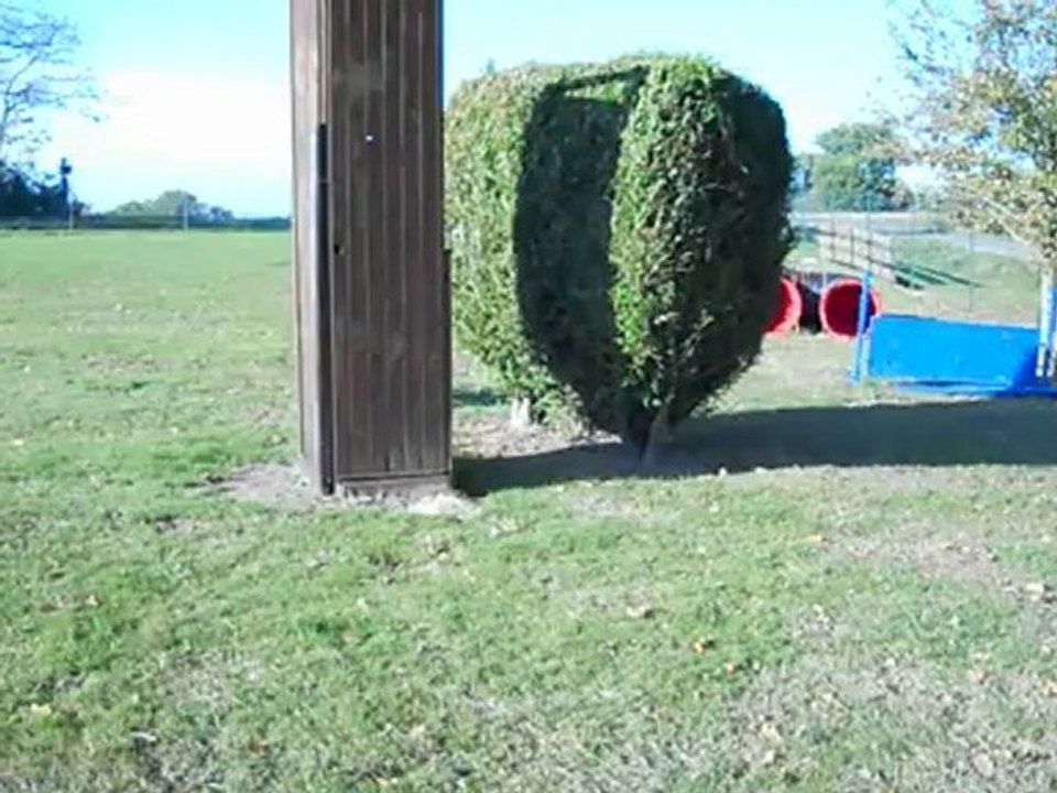 cache cache
