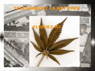 napalosum ( NIOUK ) - tu kif la hass mais c' est pas réciproque