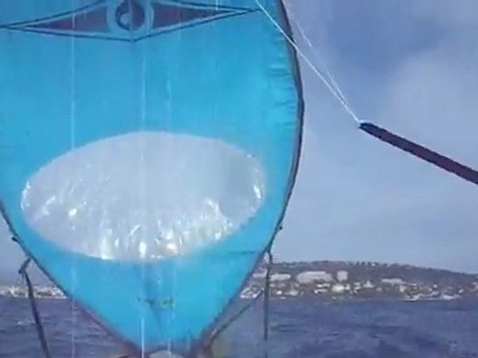 kayak olivette palm