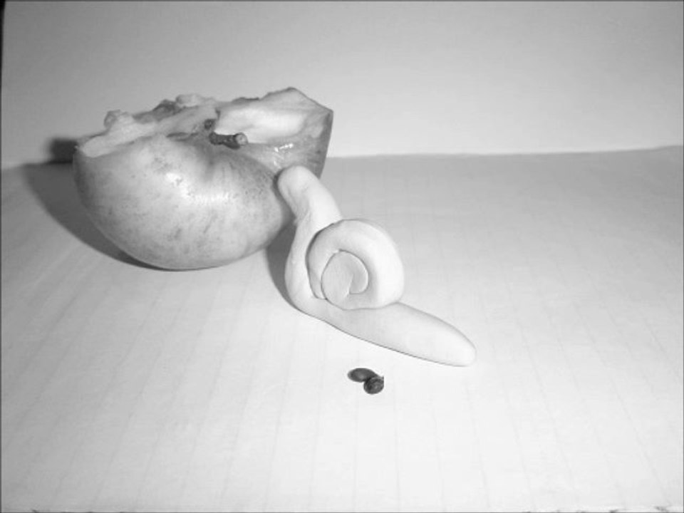 la vie tragique d'un escargot