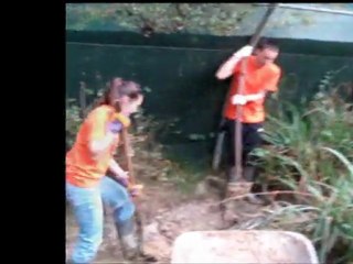 chantier de la remise en état des mares dans la volière à oiseaux d'eau
