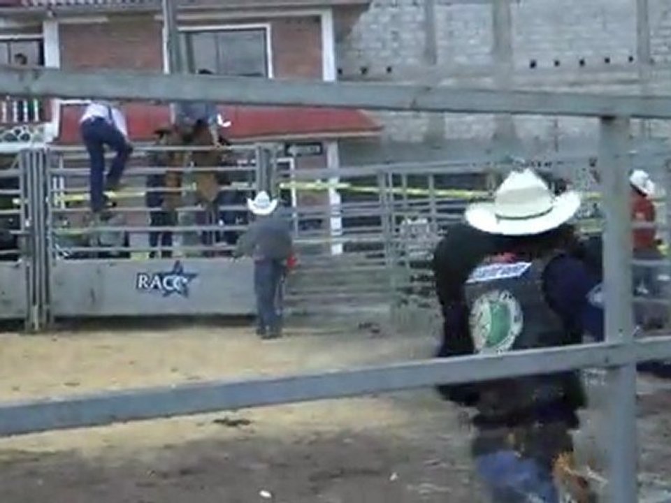 rodeo