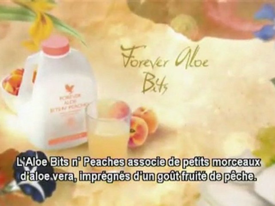 Présentation FLP & Témoignage (FrenchSB)