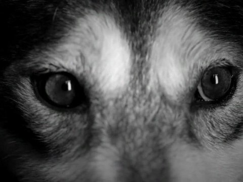 TAEYANG ' I'LL BE THERE'(English Version)