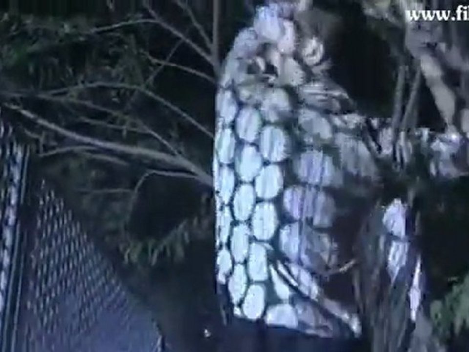 Film4vn.us-NguoiMau-32_chunk_3