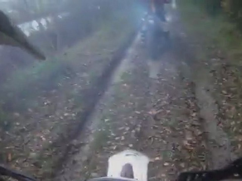 La sortie du 12 novembre