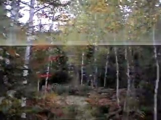 chasse orignal 2011