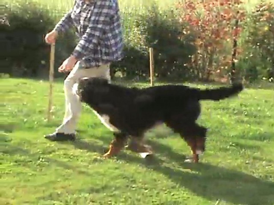 DANA fait des progrès (10)