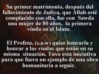 Preguntas sobre las mujeres del profeta(sws) Islam