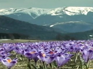 Nízke Tatry srdce Slovenska, by Photomania.sk