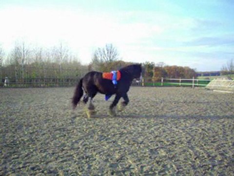 Désensibilisation ama 2eme vidéo