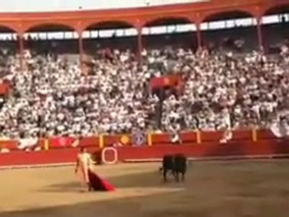 DAVID MORA TERCER TORO