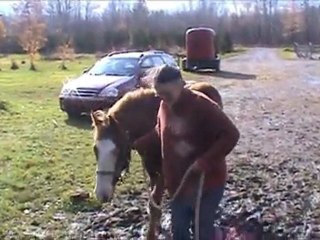 Padawan 11 nov. 2011