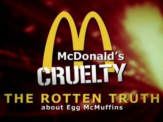McDonald's - Crauté animale à Sparboe Egg Farms