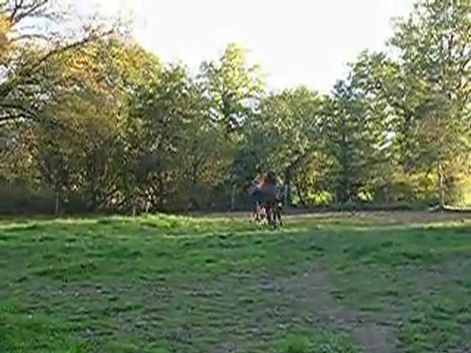 Trotteur