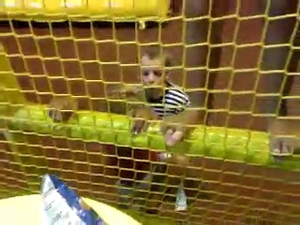video-2011-07-16-16-45-18