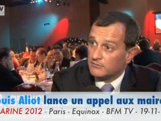 Louis Aliot lance un appel à tous les maires France