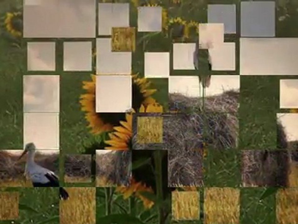 İLYAS SALMAN-ŞU TEPE