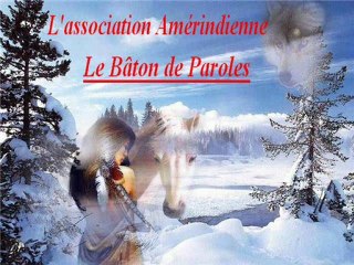 Wolf-amérindien-batondeparoles-association