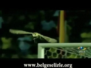 Maç Sırasında Kameralara Takılan Baykuş ve Avı