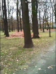 Włóczenie się po okolicy - Wrocław