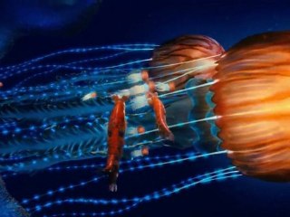 HAPPY FEET 2 TRAILER (GREEK SUBS)