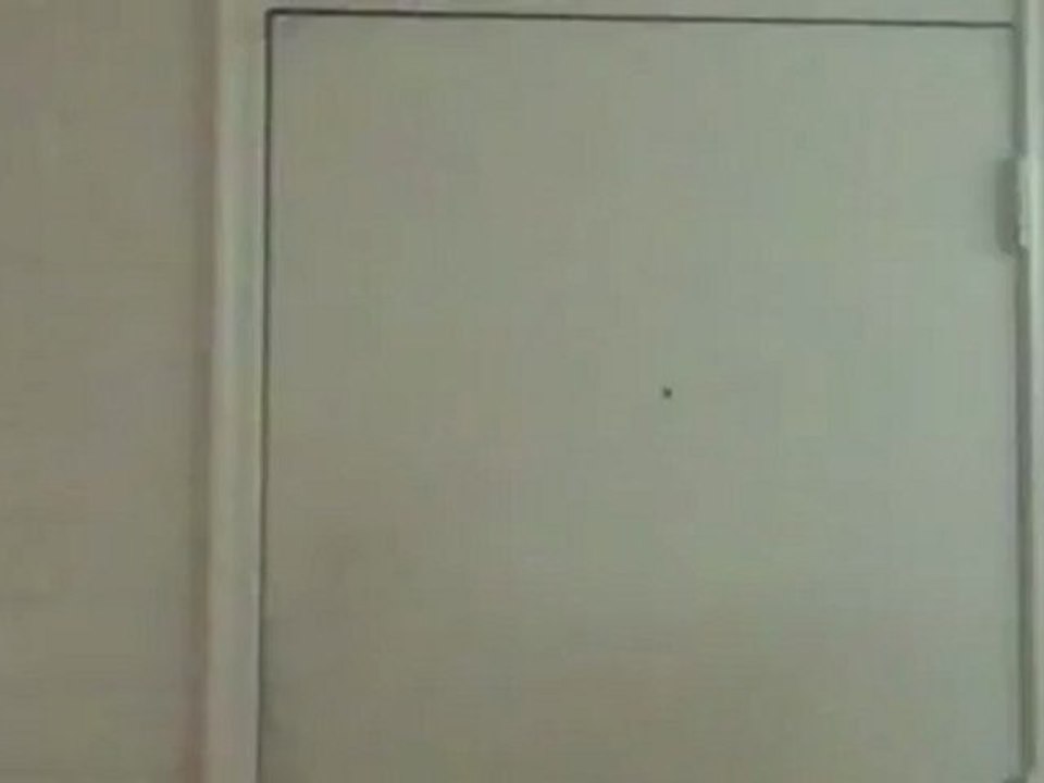 Fail To The Chief