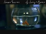 T-ara-Cry Cry MV Mongolian Subtitle