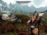 What happens when Skyrim Guards fight Giants