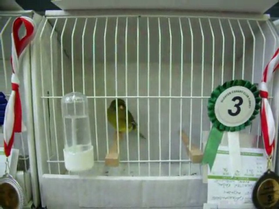 06-KLÜP SHOW 2011 | FESHANE