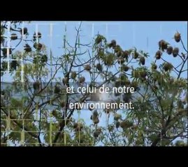 Reforest'Action - bilan plantation Sénégal 2011