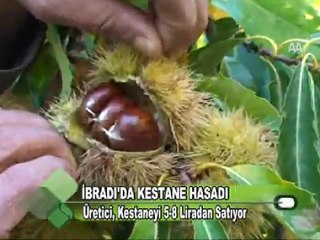 ANADOLU'DA HASAT ZAMANI  10.11.2011