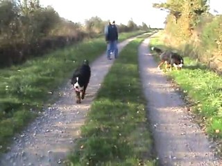 DANA fait des progrès (16)