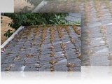Roof Moss Removal in Portland Oregon ] (503) 473-7936