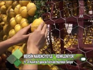 Mersin Narenciyeyle Renkleniyor 14.11.2011