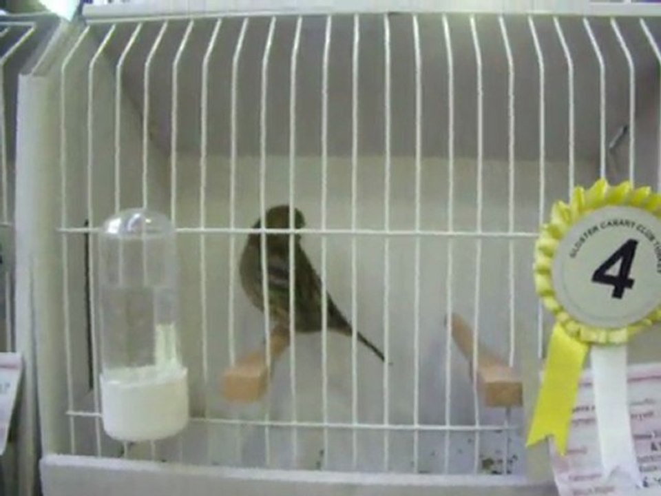 17-KLÜP SHOW 2011 | FESHANE