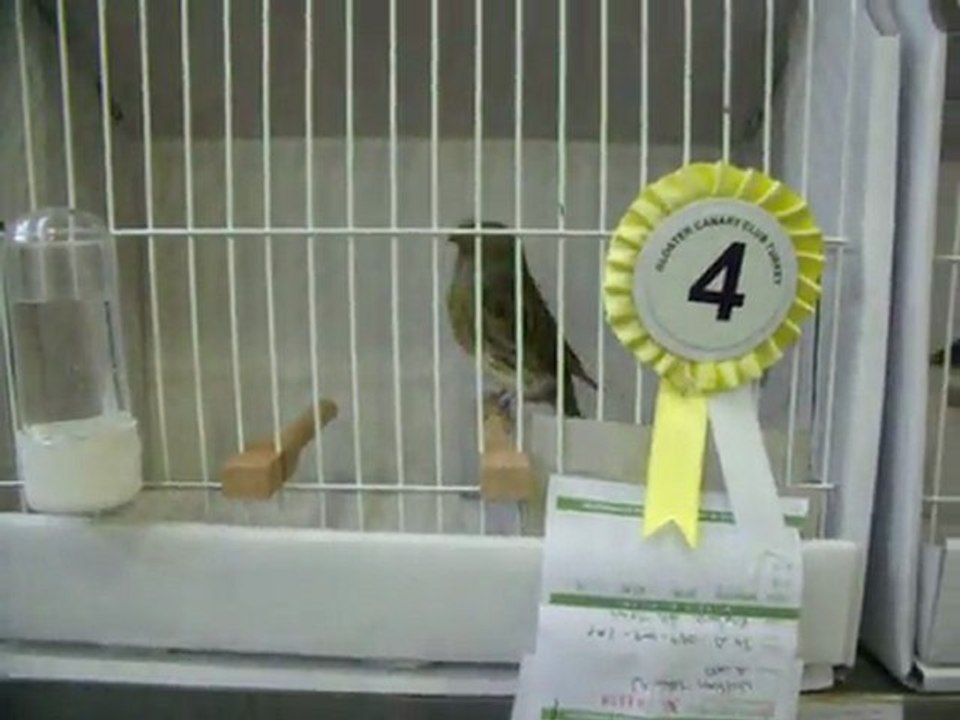 19-KLÜP SHOW 2011 | FESHANE