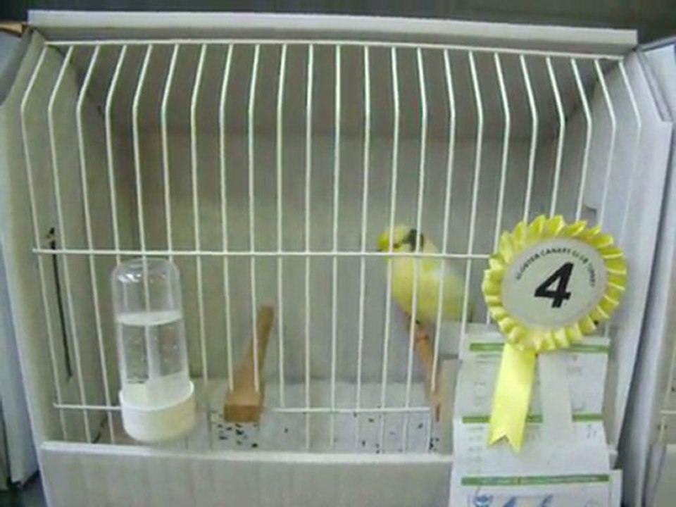 20-KLÜP SHOW 2011 | FESHANE