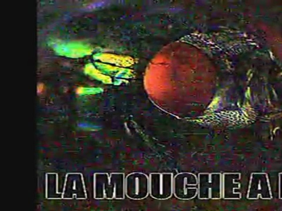 LA MOUCHE A MERDE - KETZ - 2011 (AL'TARBA prod)